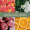 Ambrosia Rain