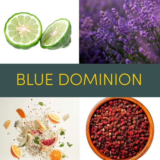 Blue Dominion