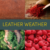 Leather Weather