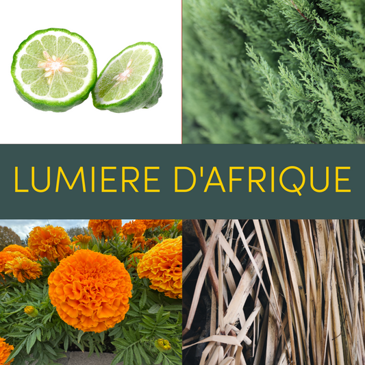 Lumière D’ Afrique